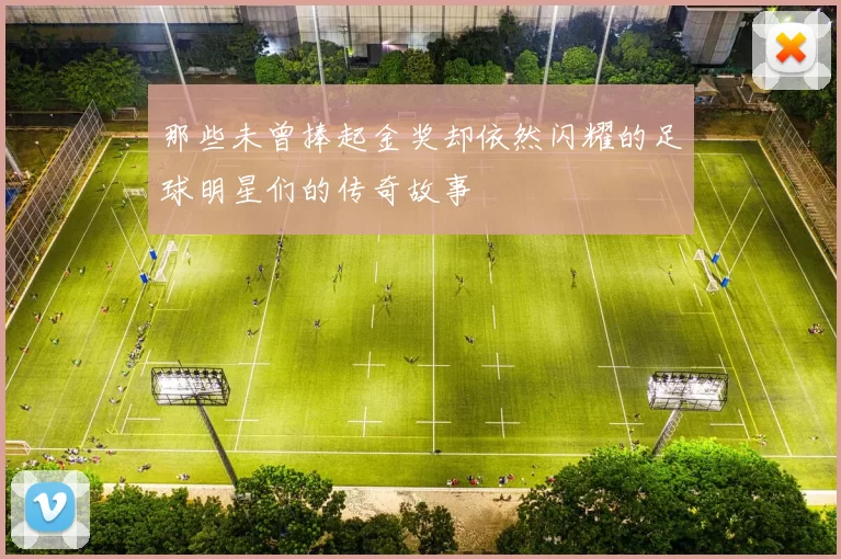 那些未曾捧起金奖却依然闪耀的足球明星们的传奇故事