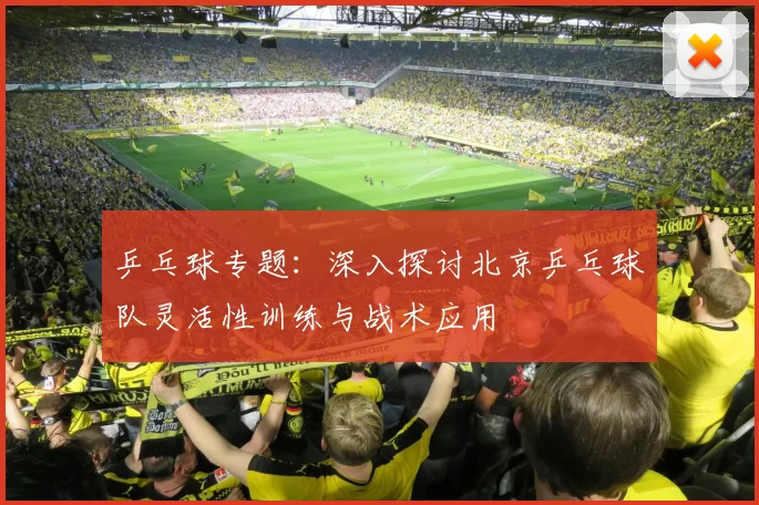 乒乓球专题：深入探讨北京乒乓球队灵活性训练与战术应用