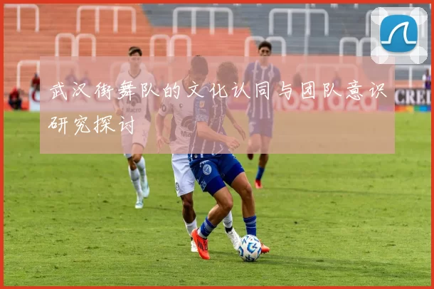 武汉街舞队的文化认同与团队意识研究探讨