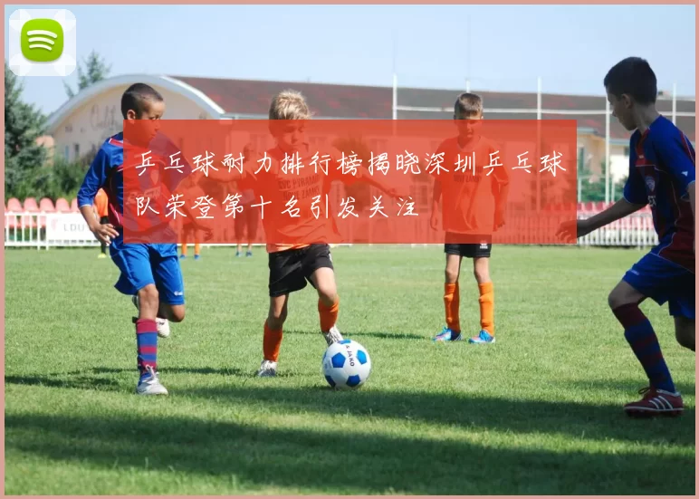 乒乓球耐力排行榜揭晓深圳乒乓球队荣登第十名引发关注
