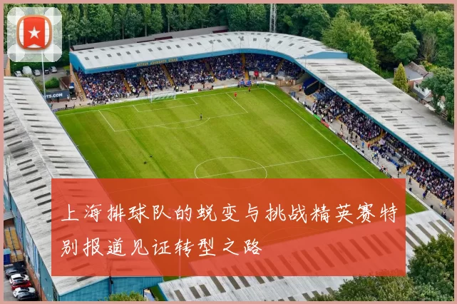 上海排球队的蜕变与挑战精英赛特别报道见证转型之路