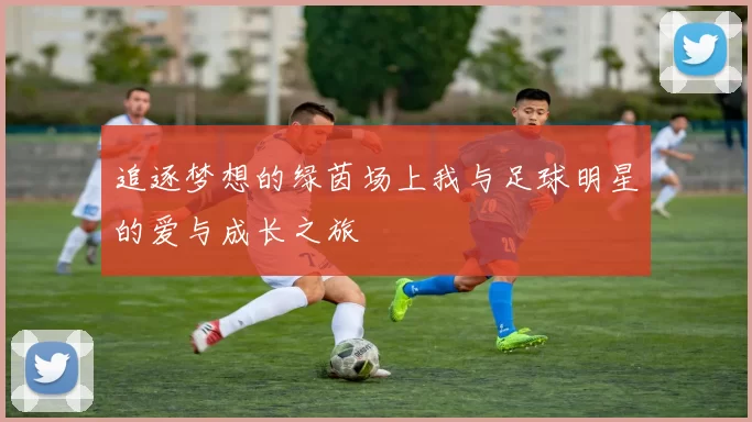 追逐梦想的绿茵场上我与足球明星的爱与成长之旅