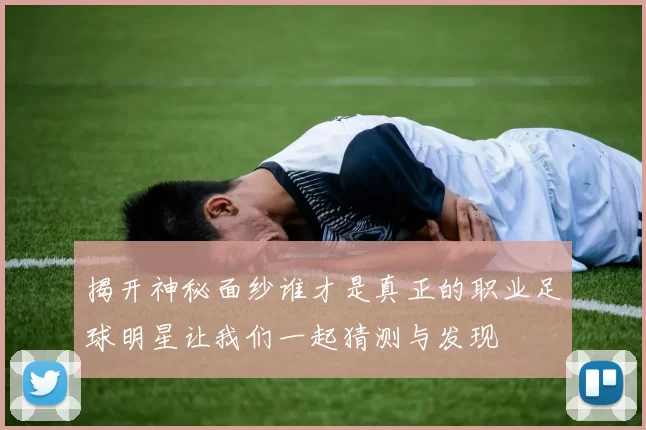 揭开神秘面纱谁才是真正的职业足球明星让我们一起猜测与发现