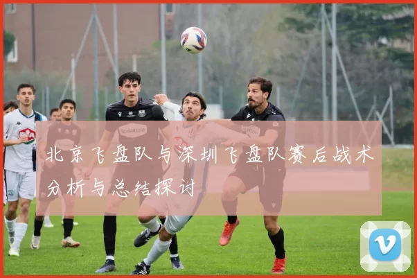 北京飞盘队与深圳飞盘队赛后战术分析与总结探讨