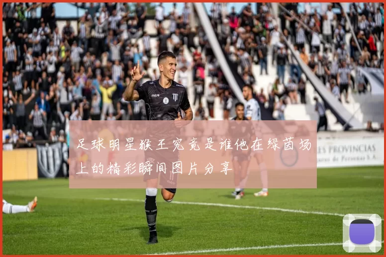 足球明星猴王究竟是谁他在绿茵场上的精彩瞬间图片分享