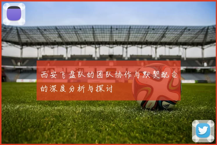 西安飞盘队的团队协作与默契配合的深度分析与探讨