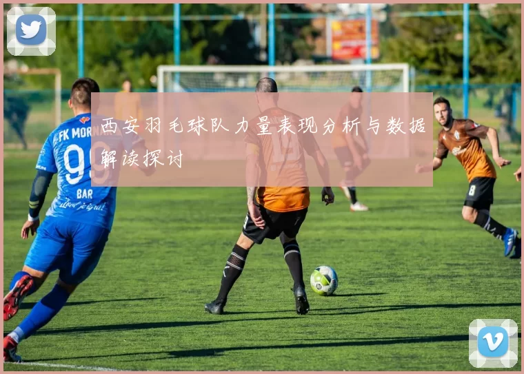 西安羽毛球队力量表现分析与数据解读探讨
