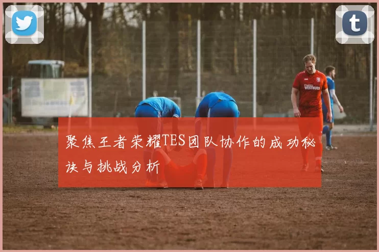 聚焦王者荣耀TES团队协作的成功秘诀与挑战分析