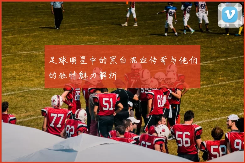 足球明星中的黑白混血传奇与他们的独特魅力解析