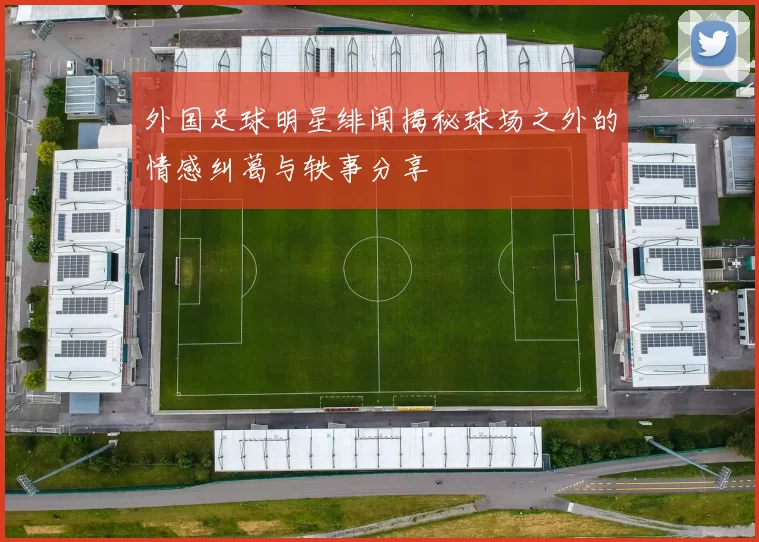 外国足球明星绯闻揭秘球场之外的情感纠葛与轶事分享